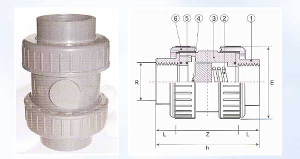 Female Threaded True Union Spring Check Valves (for water)